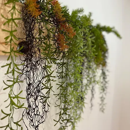 Lupita, En El Centro De *