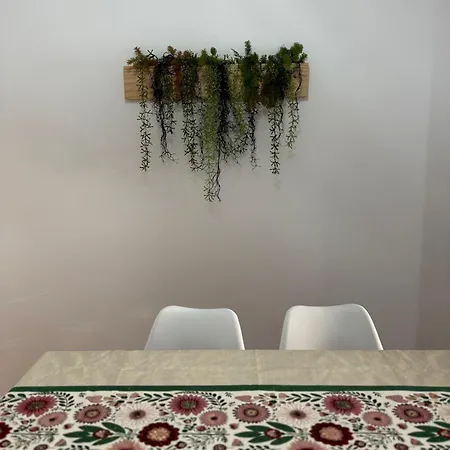 Lupita, En El Centro De Apartamento