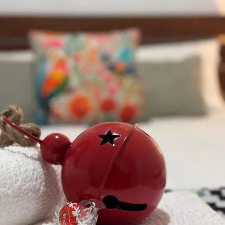 Apartamento Lupita, En El Centro De