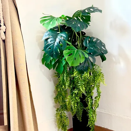 Apartament Lupita, En El Centro De Vigo