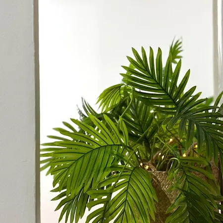 Apartamento Lupita, En El Centro De