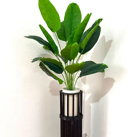 Lupita, En El Centro De Apartamento