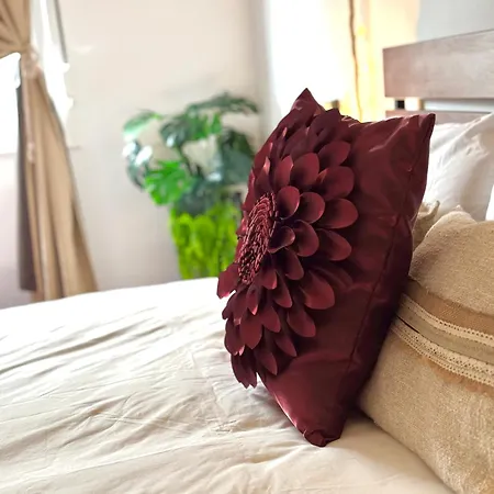 Apartamento Lupita, En El Centro De