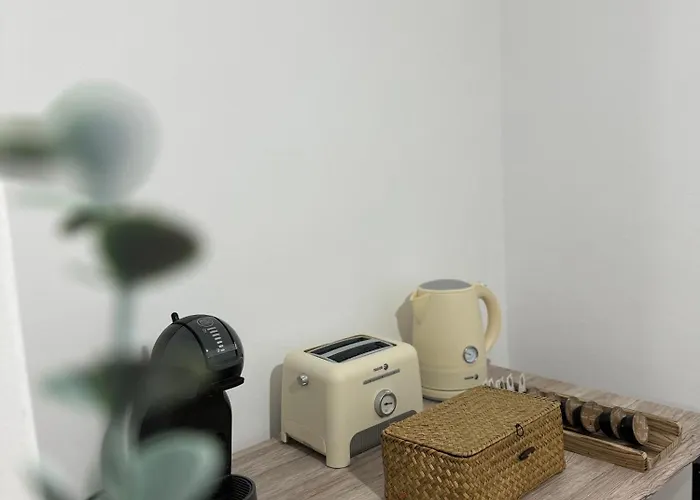 Διαμέρισμα Lupita, En El Centro De Βίγκο