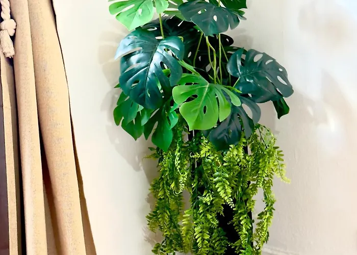 Apartamento Lupita, En El Centro De Vigo