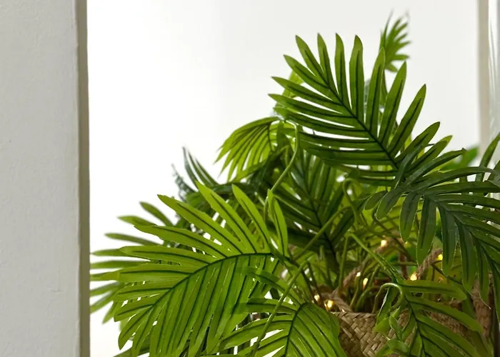 Διαμέρισμα Lupita, En El Centro De