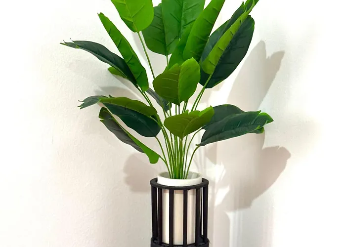 Lupita, En El Centro De Διαμέρισμα